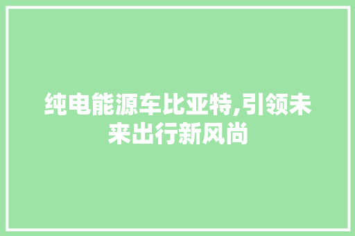 纯电能源车比亚特,引领未来出行新风尚