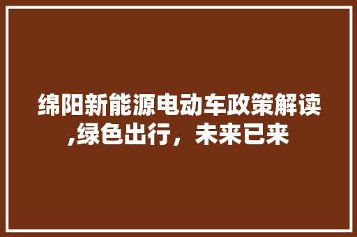 绵阳新能源电动车政策解读,绿色出行，未来已来