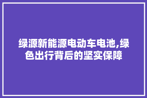 绿源新能源电动车电池,绿色出行背后的坚实保障