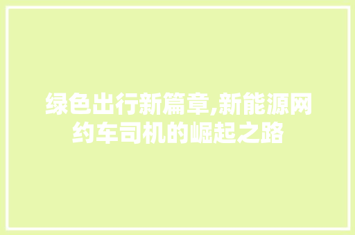 绿色出行新篇章,新能源网约车司机的崛起之路