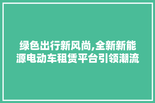 绿色出行新风尚,全新新能源电动车租赁平台引领潮流