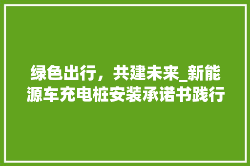 绿色出行，共建未来_新能源车充电桩安装承诺书践行之路