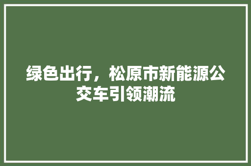 绿色出行，松原市新能源公交车引领潮流