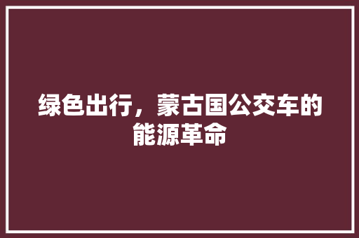 绿色出行，蒙古国公交车的能源革命