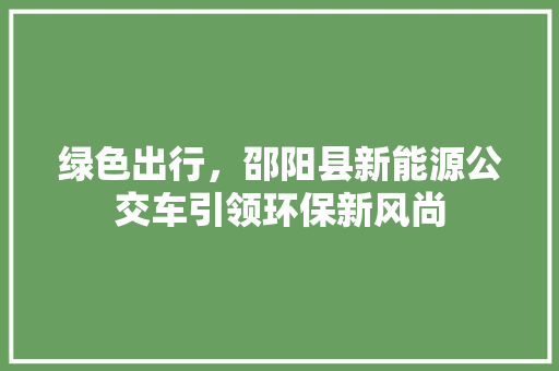 绿色出行，邵阳县新能源公交车引领环保新风尚