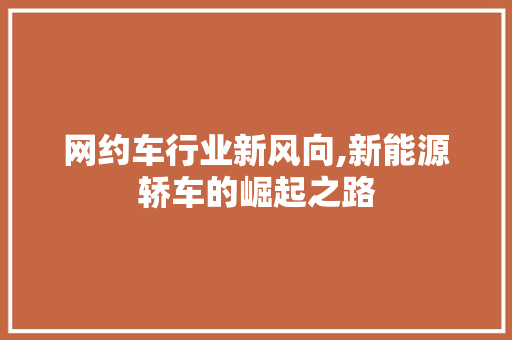 网约车行业新风向,新能源轿车的崛起之路