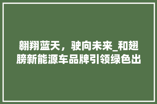 翱翔蓝天，驶向未来_和翅膀新能源车品牌引领绿色出行新风尚