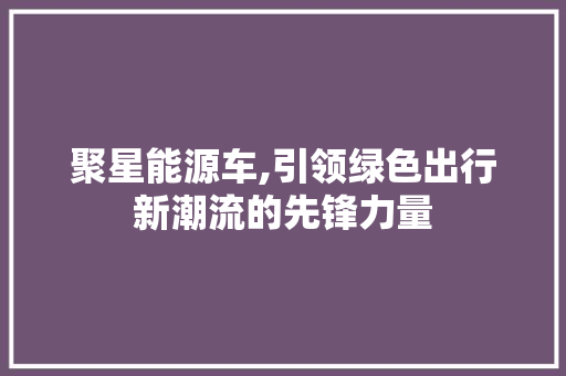 聚星能源车,引领绿色出行新潮流的先锋力量