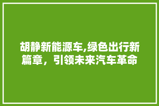 胡静新能源车,绿色出行新篇章，引领未来汽车革命