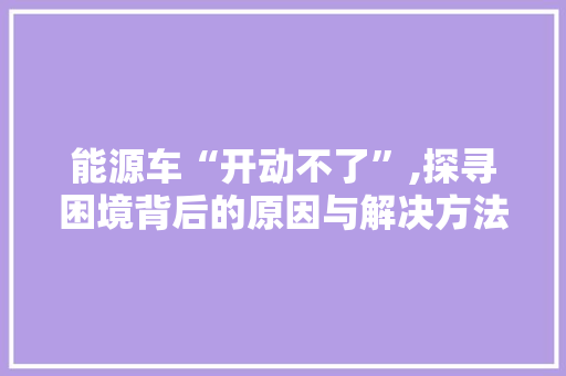 能源车“开动不了”,探寻困境背后的原因与解决方法