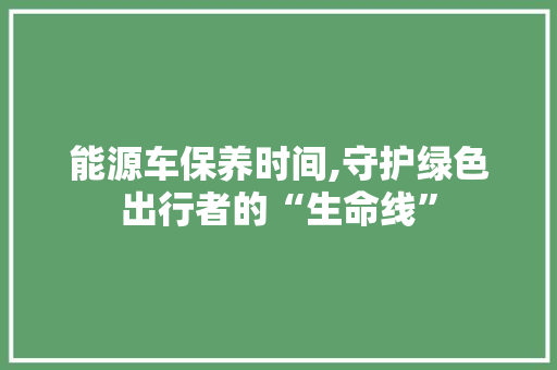 能源车保养时间,守护绿色出行者的“生命线”