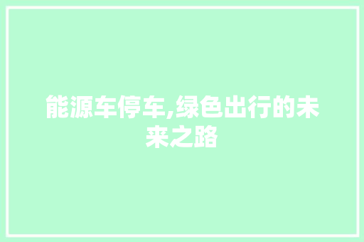 能源车停车,绿色出行的未来之路