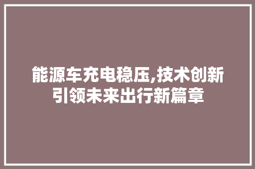 能源车充电稳压,技术创新引领未来出行新篇章