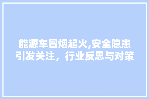 能源车冒烟起火,安全隐患引发关注，行业反思与对策并行