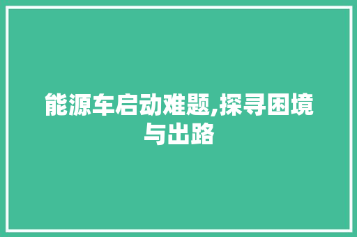 能源车启动难题,探寻困境与出路