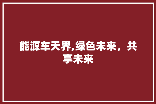 能源车天界,绿色未来，共享未来