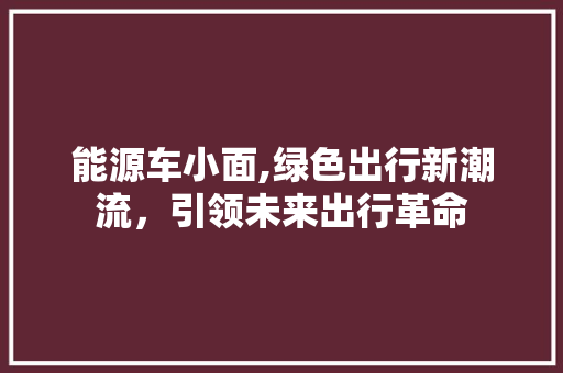 能源车小面,绿色出行新潮流，引领未来出行革命