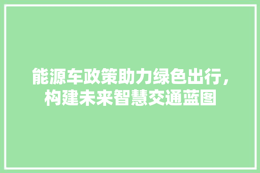 能源车政策助力绿色出行，构建未来智慧交通蓝图