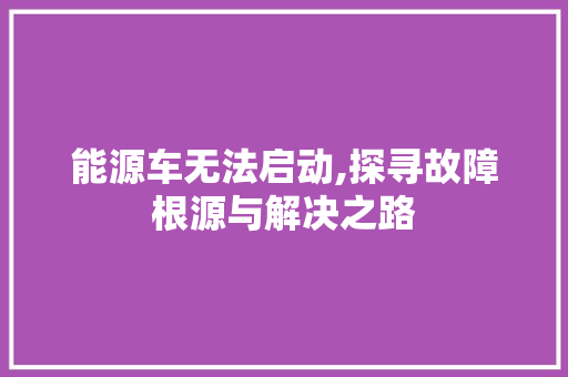 能源车无法启动,探寻故障根源与解决之路