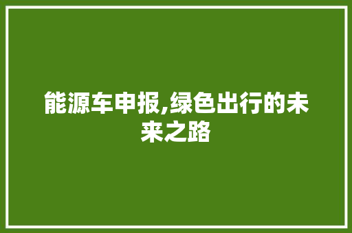 能源车申报,绿色出行的未来之路