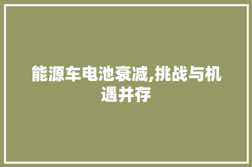 能源车电池衰减,挑战与机遇并存