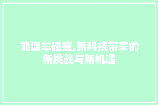 能源车碰撞,新科技带来的新挑战与新机遇