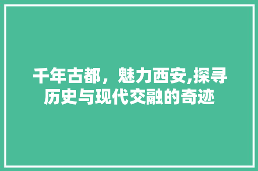 千年古都，魅力西安,探寻历史与现代交融的奇迹