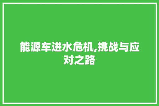 能源车进水危机,挑战与应对之路