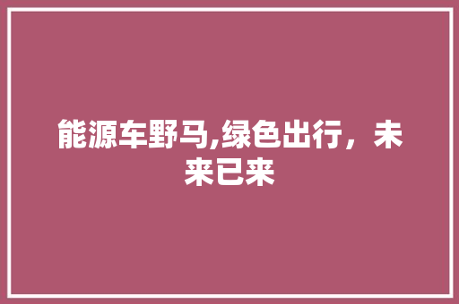 能源车野马,绿色出行，未来已来