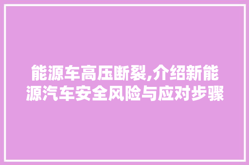 能源车高压断裂,介绍新能源汽车安全风险与应对步骤