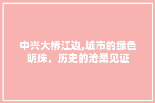 中兴大桥江边,城市的绿色明珠，历史的沧桑见证  第1张