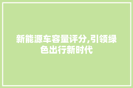 新能源车容量评分,引领绿色出行新时代