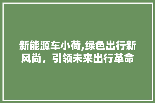 新能源车小荷,绿色出行新风尚，引领未来出行革命