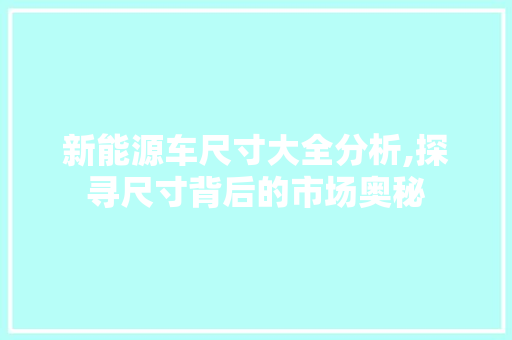 新能源车尺寸大全分析,探寻尺寸背后的市场奥秘  第1张