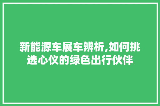 新能源车展车辨析,如何挑选心仪的绿色出行伙伴