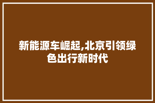 新能源车崛起,北京引领绿色出行新时代