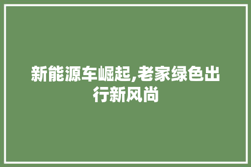 新能源车崛起,老家绿色出行新风尚