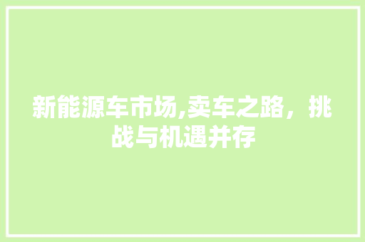 新能源车市场,卖车之路，挑战与机遇并存