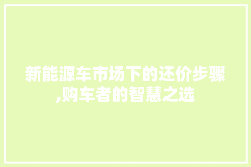 新能源车市场下的还价步骤,购车者的智慧之选