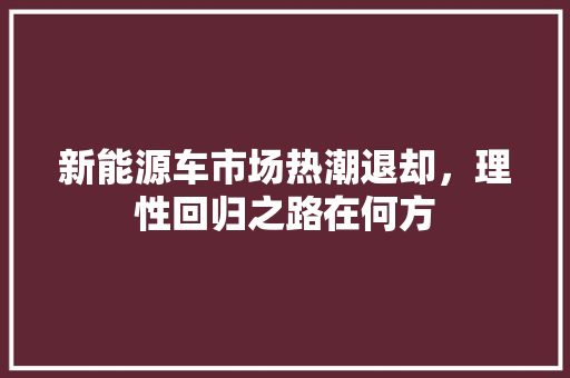 新能源车市场热潮退却，理性回归之路在何方  第1张