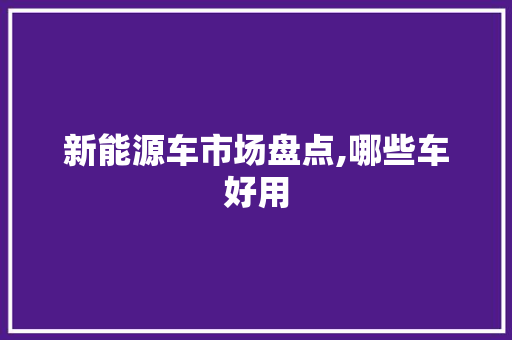 新能源车市场盘点,哪些车好用