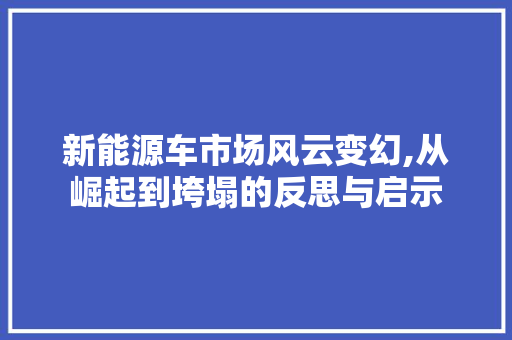 新能源车市场风云变幻,从崛起到垮塌的反思与启示