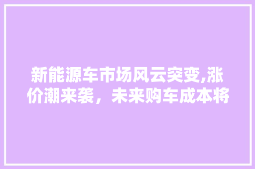 新能源车市场风云突变,涨价潮来袭，未来购车成本将何去何从