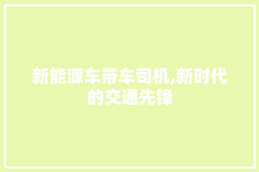 新能源车带车司机,新时代的交通先锋