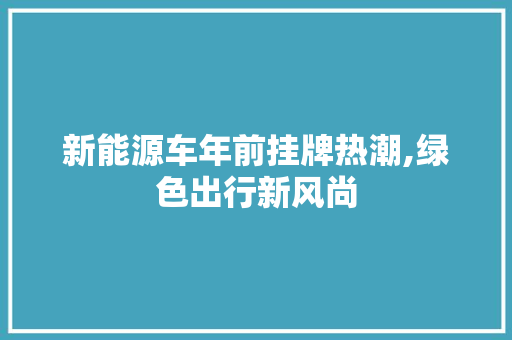 新能源车年前挂牌热潮,绿色出行新风尚