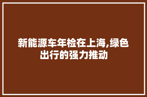 新能源车年检在上海,绿色出行的强力推动