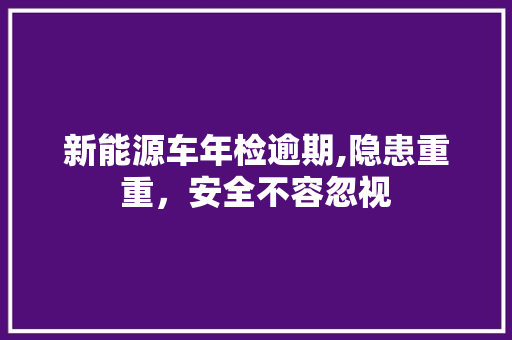 新能源车年检逾期,隐患重重，安全不容忽视