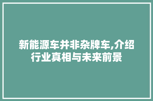 新能源车并非杂牌车,介绍行业真相与未来前景