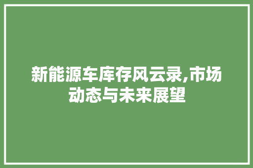 新能源车库存风云录,市场动态与未来展望