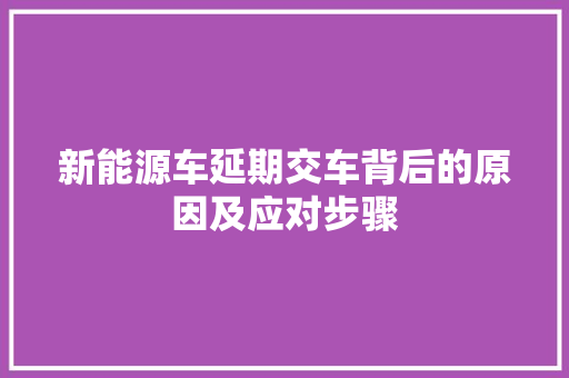 新能源车延期交车背后的原因及应对步骤